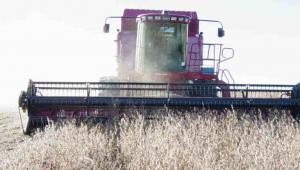Megbénulhat a magyar gabonaexport
