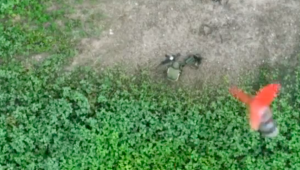 Drónról pottyantottak aknagránátot a letolt gatyával pottyantó orosz katonára